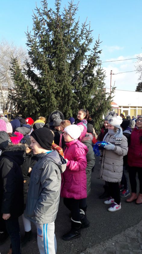 20181130_100208_resized1.jpg