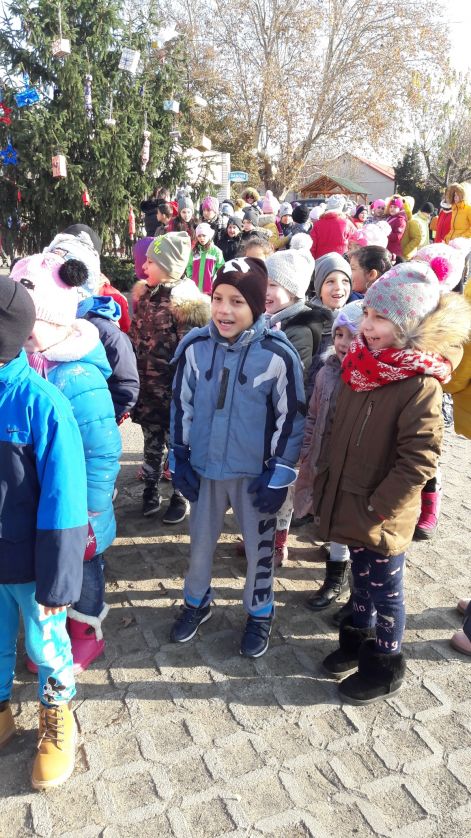 20181130_101526_resized.jpg