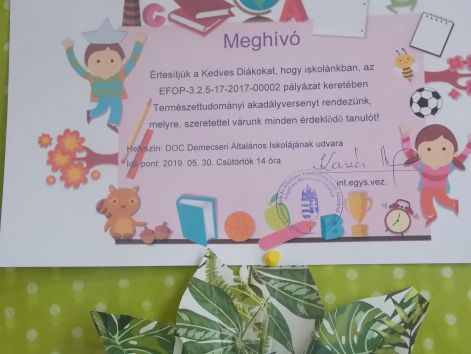 dscn6339.jpg